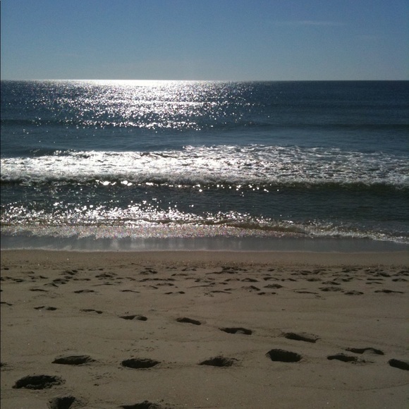 Meet your Posher, Nanner - Picture 4 of 4